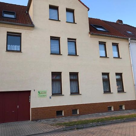 Ferienwohnungen Heideblick غريفنهاينيشن المظهر الخارجي الصورة